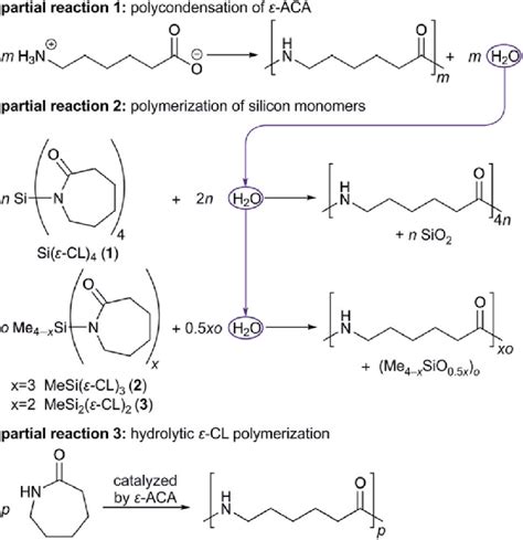 pa6 polymerization